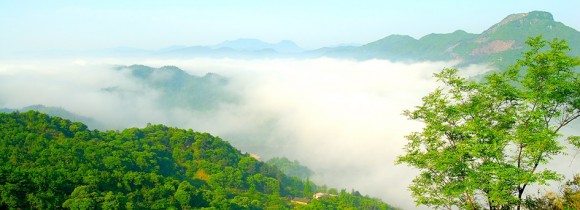 信阳灵山风景名胜区导游词