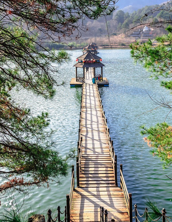 浅夏花开，灵山翠绿满天下