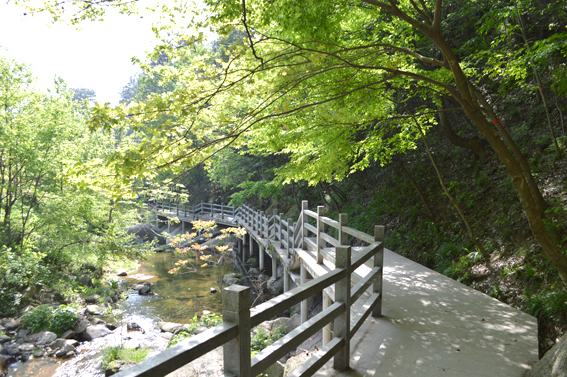 沾衣欲湿杏花雨，吹面不寒杨柳风，和煦春光洒满信阳灵山