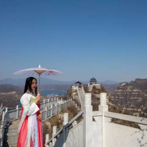 济源黄河三峡桃花朵朵开