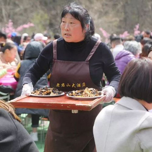 老君山“咬春宴”盛大开席
