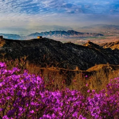 静待山花烂漫，四月到白石山徜徉花海吧