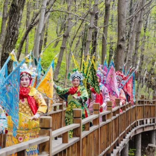2019龙峪湾首届云巅杜鹃花节第三期主题活动如约而至