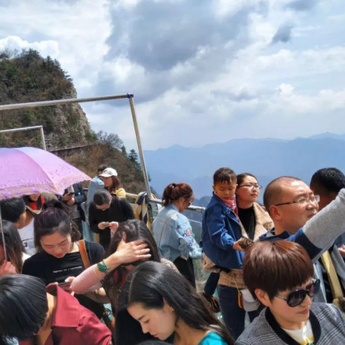 2019龙峪湾首届云巅杜鹃花节圆满落幕