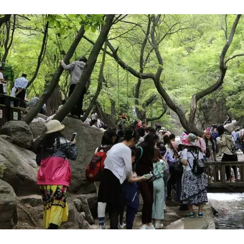 六一儿童节 亲近自然 绵山戏水