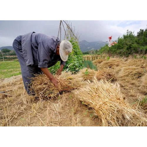 皇城相府：跟着当地人享受这里的慢生活—第三天