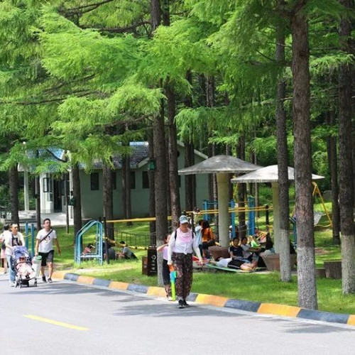 度过一个美妙的夏天，2019龙峪湾首届森林音乐狂欢节即将拉开帷幕