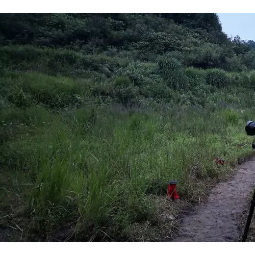 与最爱的人在抱朴谷萤火世界里玩一次捉迷藏