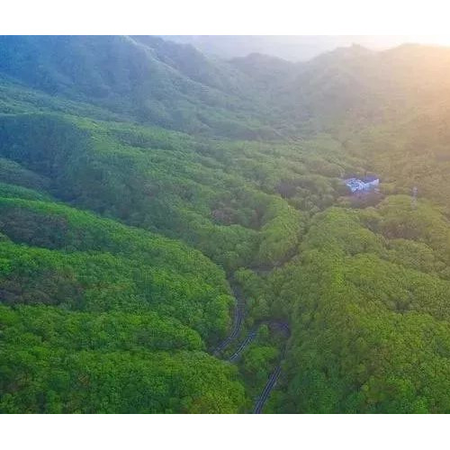 在宝天曼里，山是幽静的，水是清静的