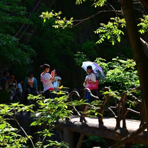 寻觅山林野趣，感受龙峪湾21度的夏天