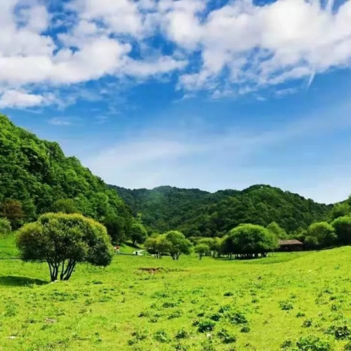 大水川、灵宝峡、九龙山，一次统统玩个够