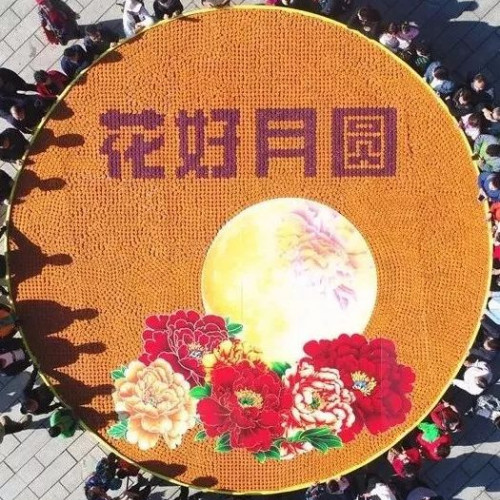在老君山与家人一起度过不一样的温暖中秋吧