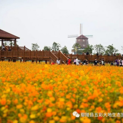 五彩大地是一个秋意盎然，又有万般色彩的世界