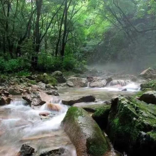 金秋时节，青峰峡变成了美丽热闹的海洋