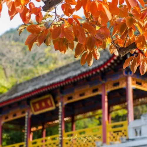 趁岁月静好，与华清宫约定一场对秋的告别