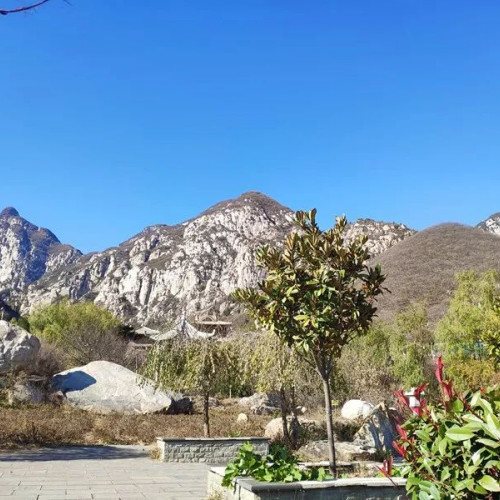 中国•嵩山《禅宗少林•音乐大典》首届新春文化节即将开启