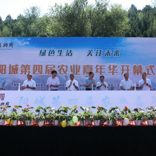 皇城相府：回顾2019，展望2020（中）
