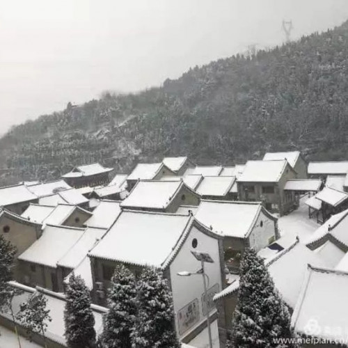 梅花香自苦寒来，踏雪寻梅长寿山