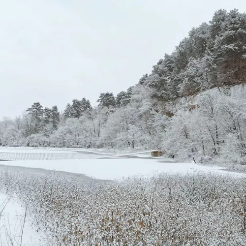 新年飘雪让您看到不一样的玉华面貌