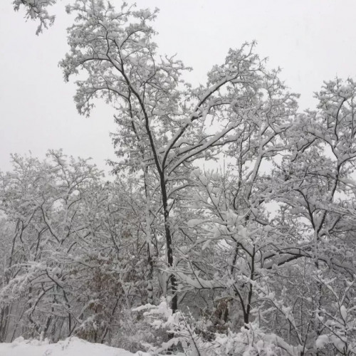 你与东北雪乡只差一个轿顶山的距离