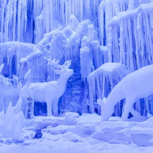 八桂壮王城等您游边关醉美溶洞，看南国传奇冰雪