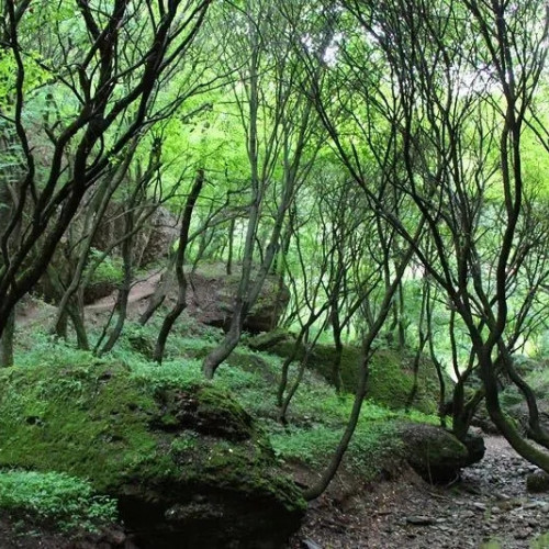 你我已好久不见，但玉华的风景依旧