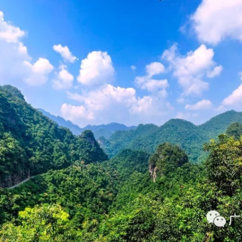 广西龙潭国家森林公园于2020年2月24日恢复营业