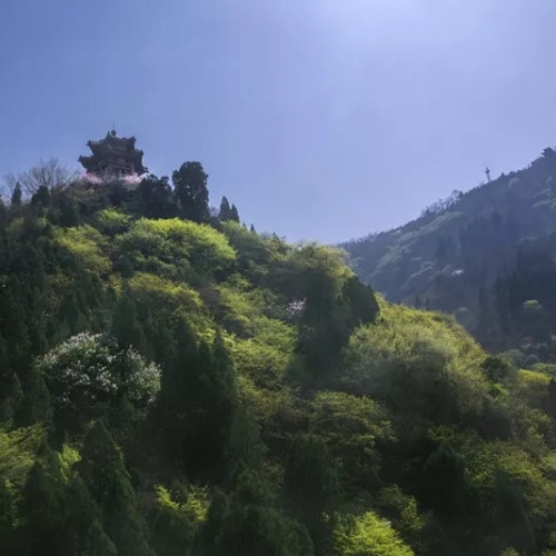 春风十里柔情，久别的故人，我在华清宫等你