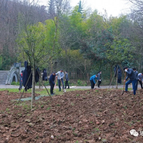 琅琊山风景区：巩固疫情防控成果，有序推进景区复工复产