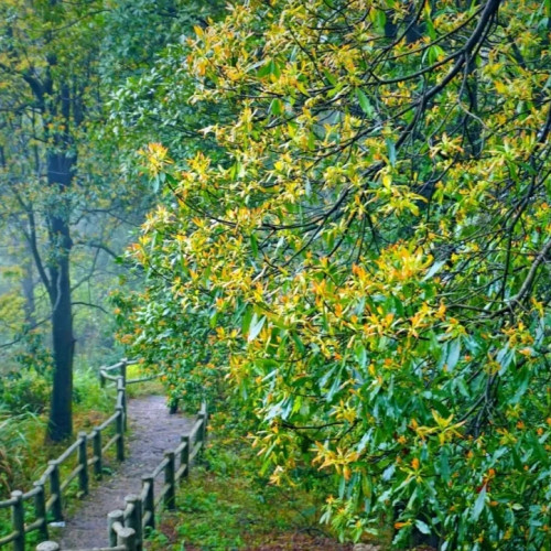 到桂平西山风景区，体验大山中的纯朴生活