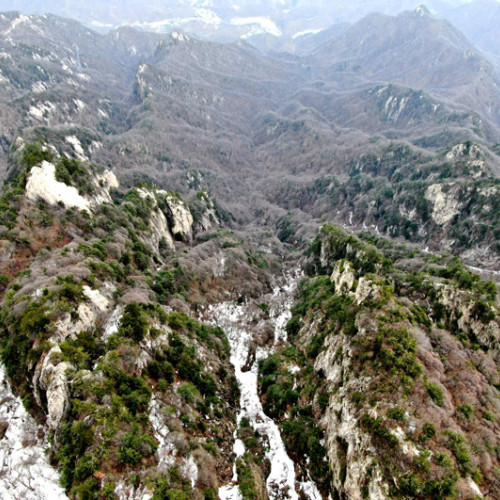 中国森林覆盖率达22.96%，老君山欢迎您来登山“洗肺”
