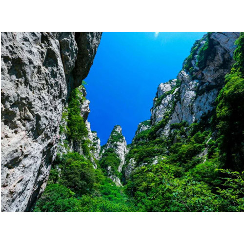 春暖花开之际，邀您来嵩山少林寺穿行青山绿水之间