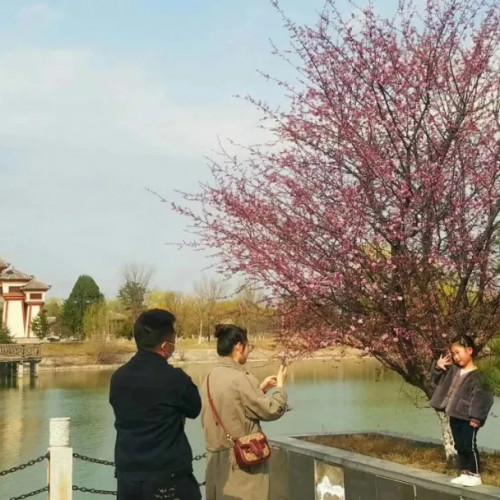 函谷关约你赏花健身  不负时光  不辜负每一场花期