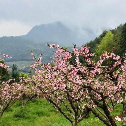 凤阳大明旅游集团所属景区全面开放