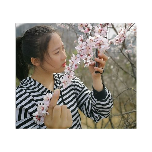 狼牙山山花，是早春的使者，吸引众多游客踏青赏花