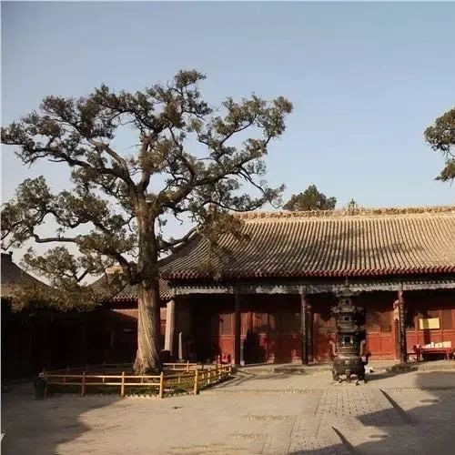 洪洞广胜寺景区今日恢复开园