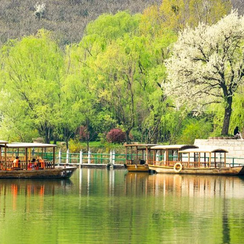 嵖岈山风景区：满树桃花正开，待你踏春而来