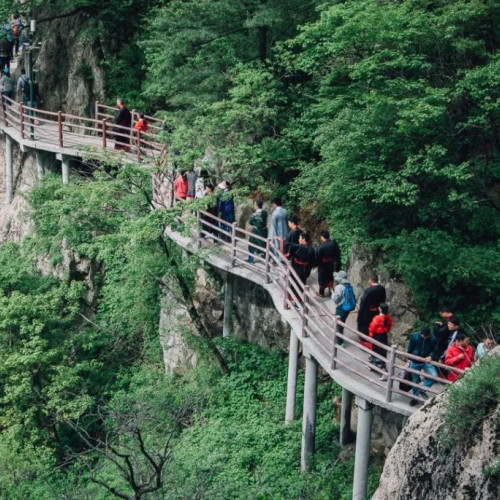 老君山景区将以抖音直播的形式为您带来一场视觉盛宴
