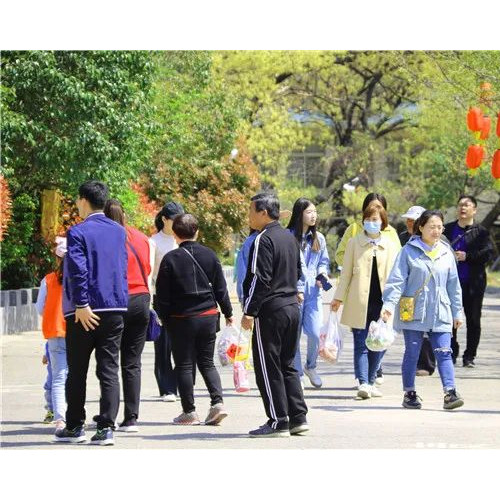 抱犊崮—熊耳山景区小假期得到众多游客青睐
