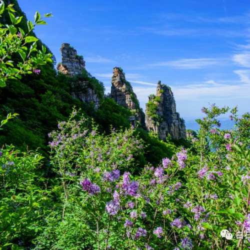 白石山的春天 承包你所有的浪漫