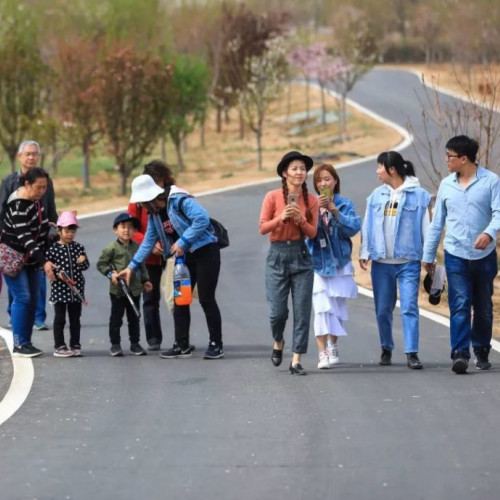 狼牙山万亩田园花海明日开园