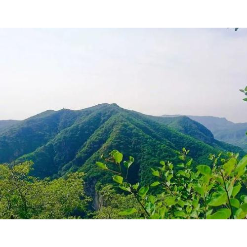 长寿山景区重磅推出优惠活动，趁着满山飘香，一起约起来