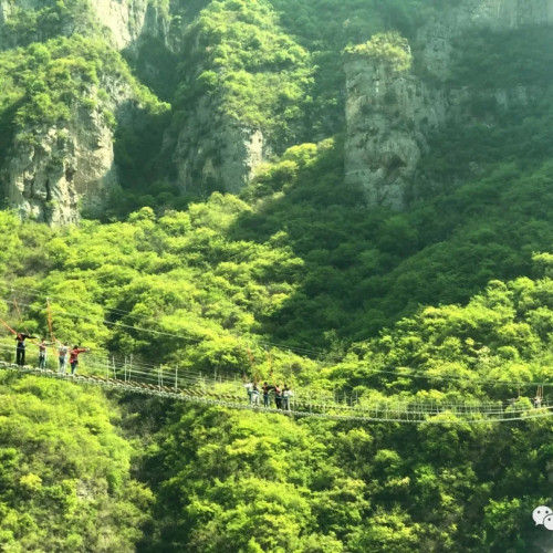 暖风轻轻吹过，沐浴在神农山和煦的春光下