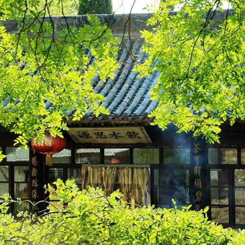 根祖圣地、华人老家，洪洞大槐树等着你
