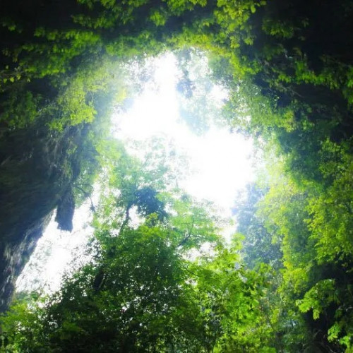 在广西通灵大峡谷体会森林氧吧的清新，观赏溶洞的奇幻美景