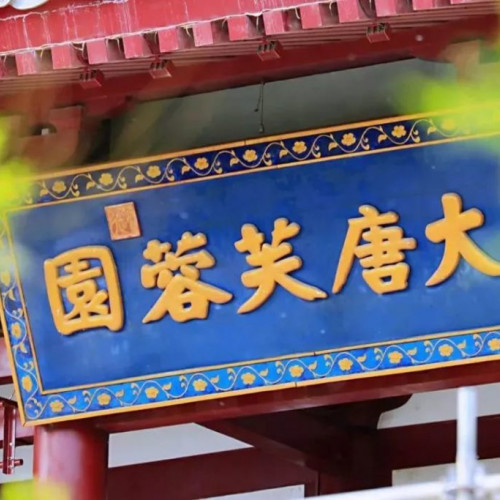 大唐芙蓉园母亲节超级福利快来抢