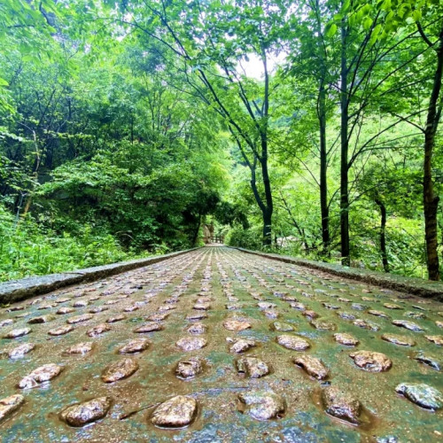 老君山如此多娇，赶在雨后快来感受诗一般的美好