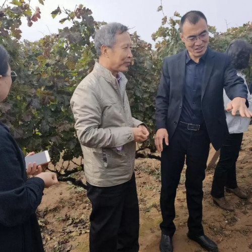 山西戎子酒庄致力打造中国的红酒文化，酿造独具一格的黄土高原风情葡萄酒