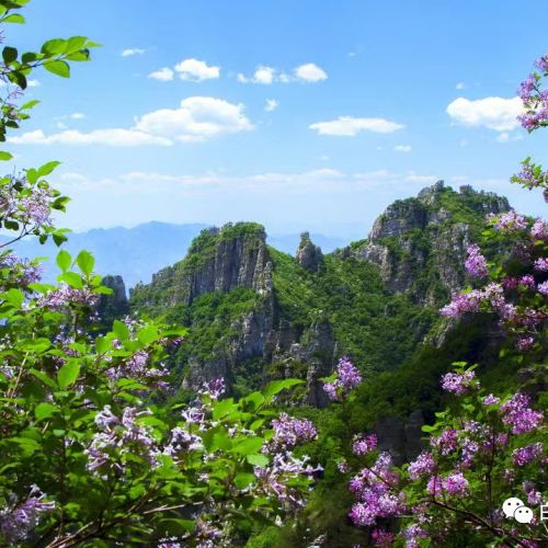 初夏时节白石山美出新高度