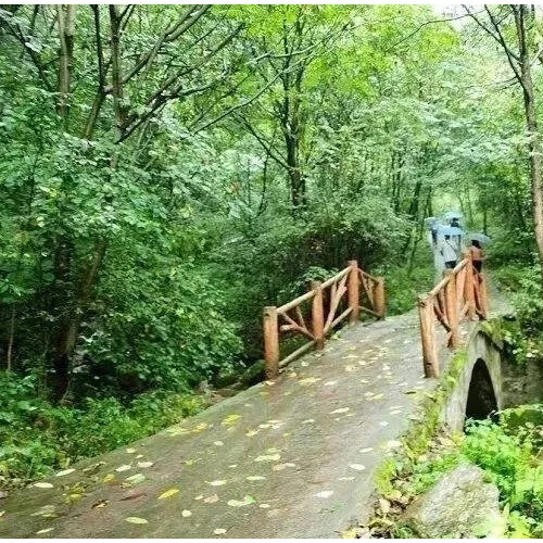 红河谷带你开启一段奇幻的夏日之旅